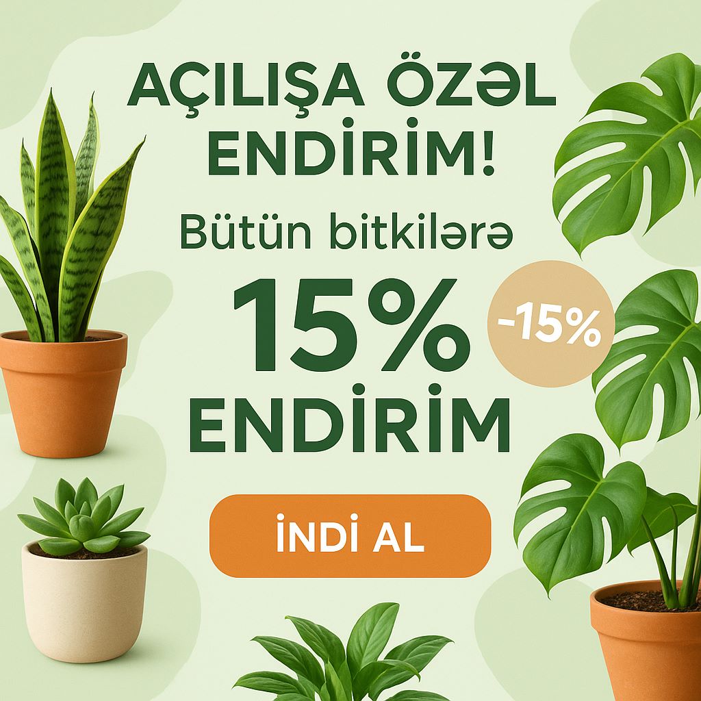 Açılışa özəl 15% endirim