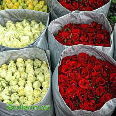 Qızılgül dəstəsi (Qizilgul)