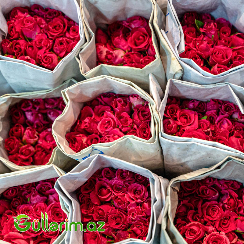 Sayla Satılan Güllər