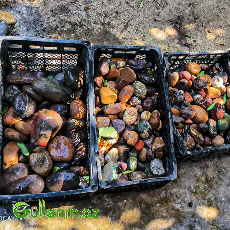 Təbii çay daşları ()Cay dasi)