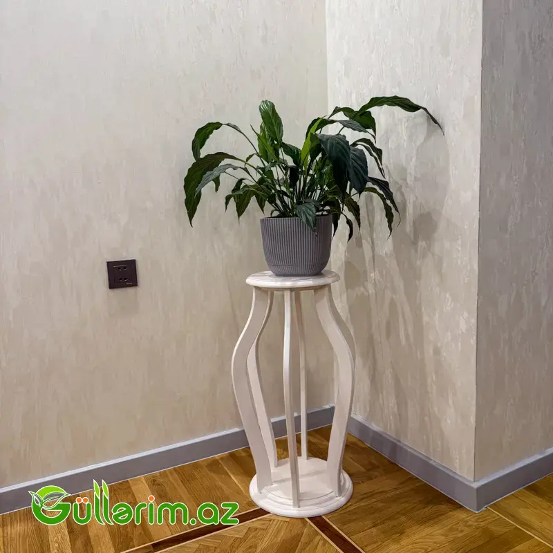 Dibçək altlıq ağ