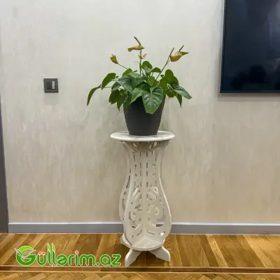 Dibçək altlıq ağ