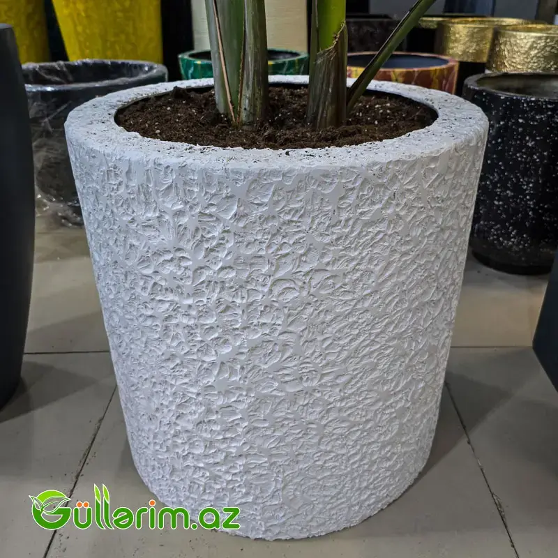 Fiber Glass dibçək -*-*- sm (Fiber dibcek)