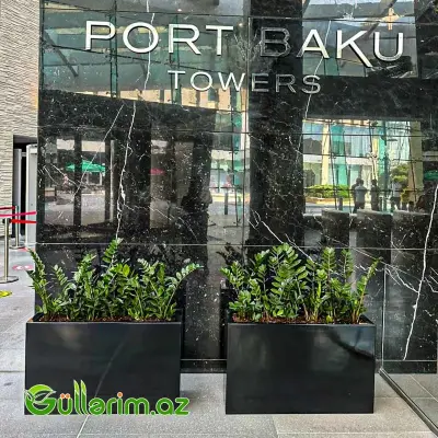 FiberGlass dibçək 80*50*30 sm (Fiber dibcek)