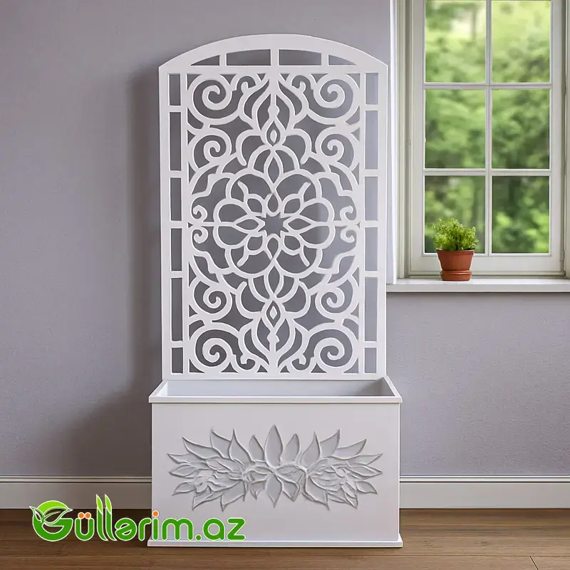 Taxta dibçək - IOSAN