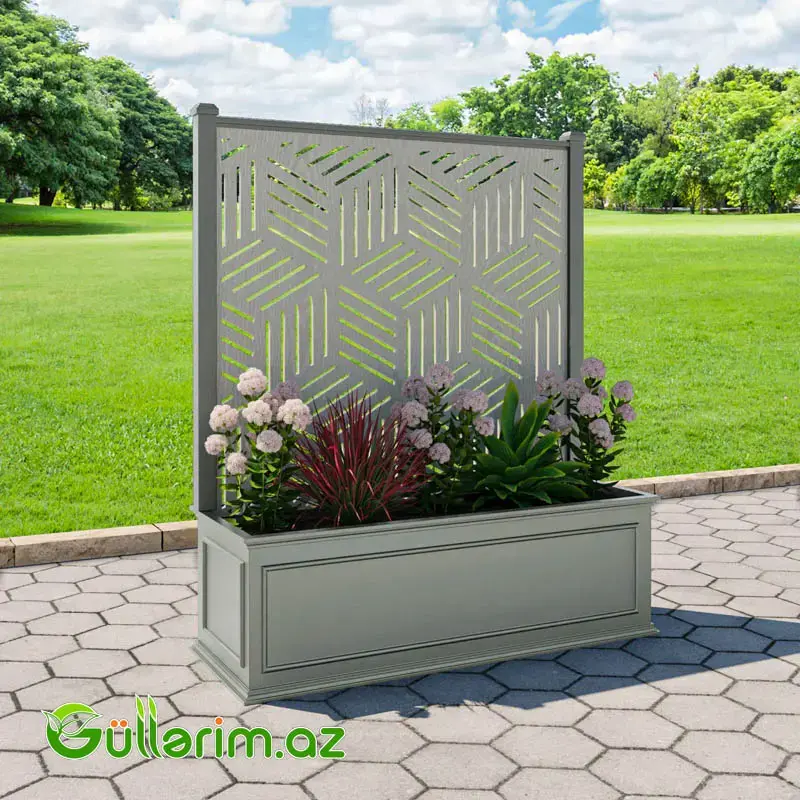 Dekorativ dibçək MTL-SEDFI