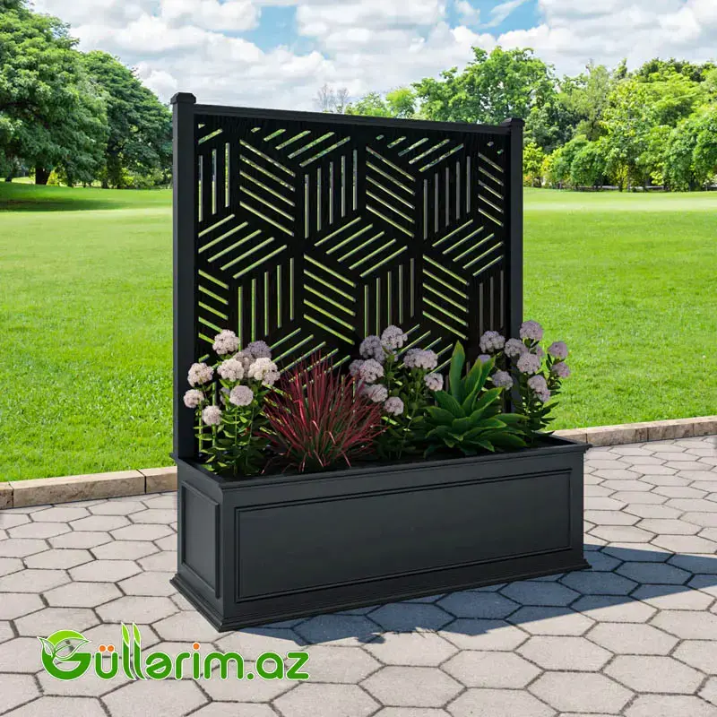 Dekorativ dibçək MTL-SEDFI