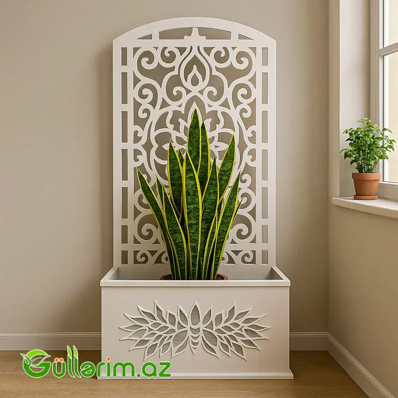 Taxta dibçək - IOSAN