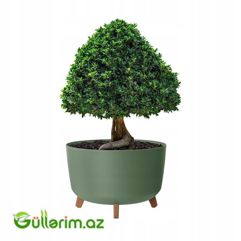 Lamela Dibçək (Ayaqlı Model)