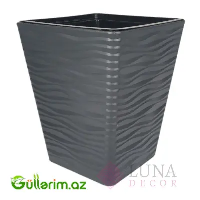 Luna Premium Dibçək