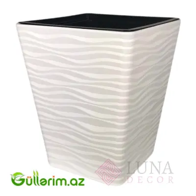 Luna Premium Dibçək