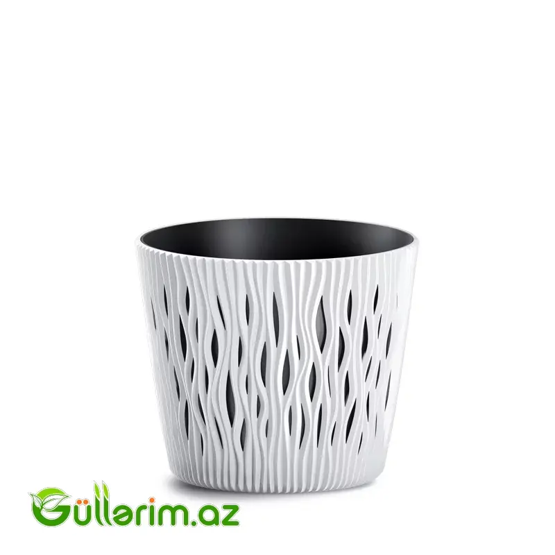 Prosperplast Dibçək