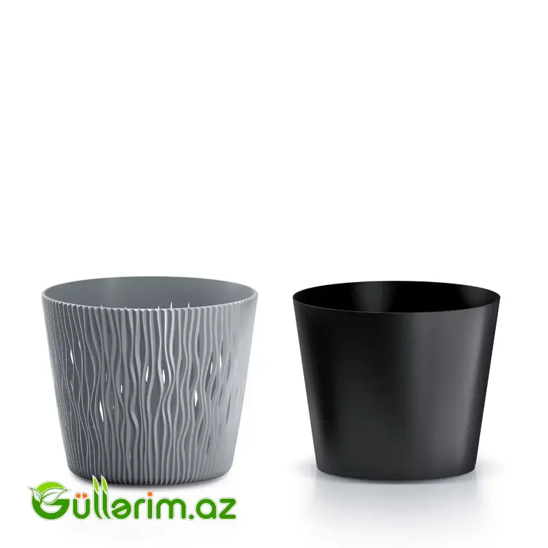 Prosperplast Dibçək