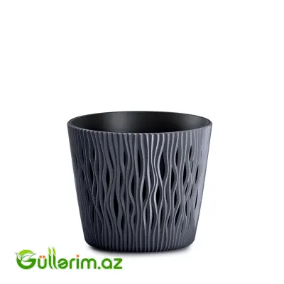 Prosperplast Dibçək