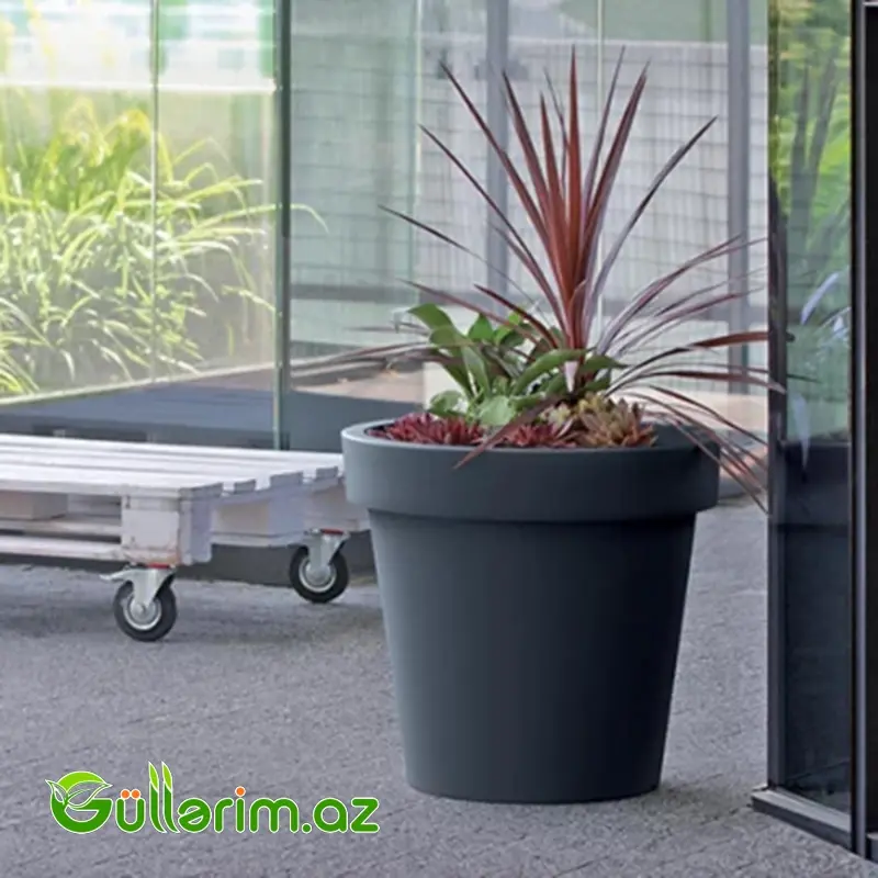 Plastik Dibçək 024