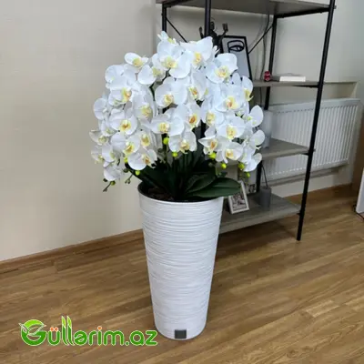 Plastik Dibçək 025