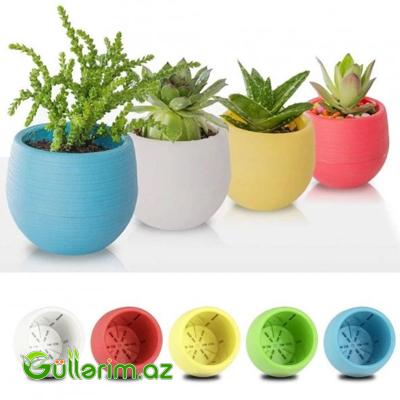 Dekorativ Plastik Dibçək