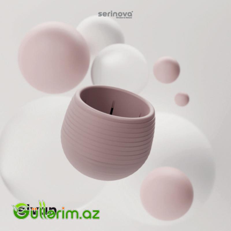 Dekorativ Plastik Dibçək