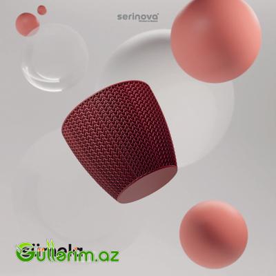 Plastik Dibçək 010