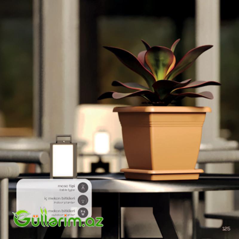 Plastik Dibçək 011