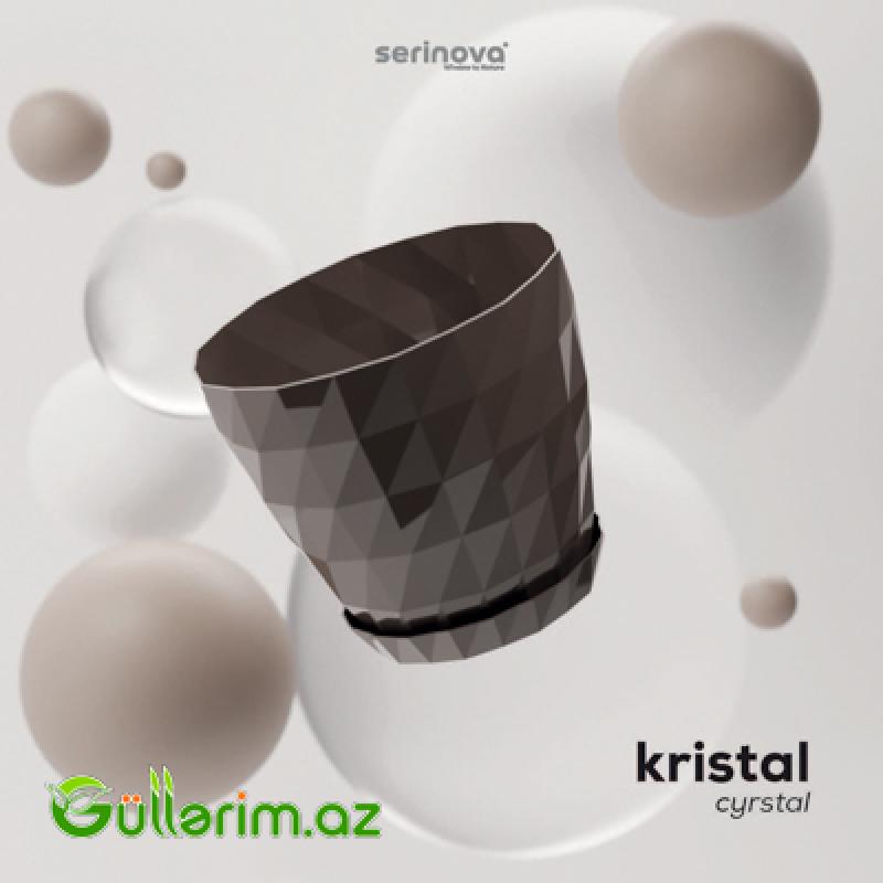 Plastik Dibçək 020