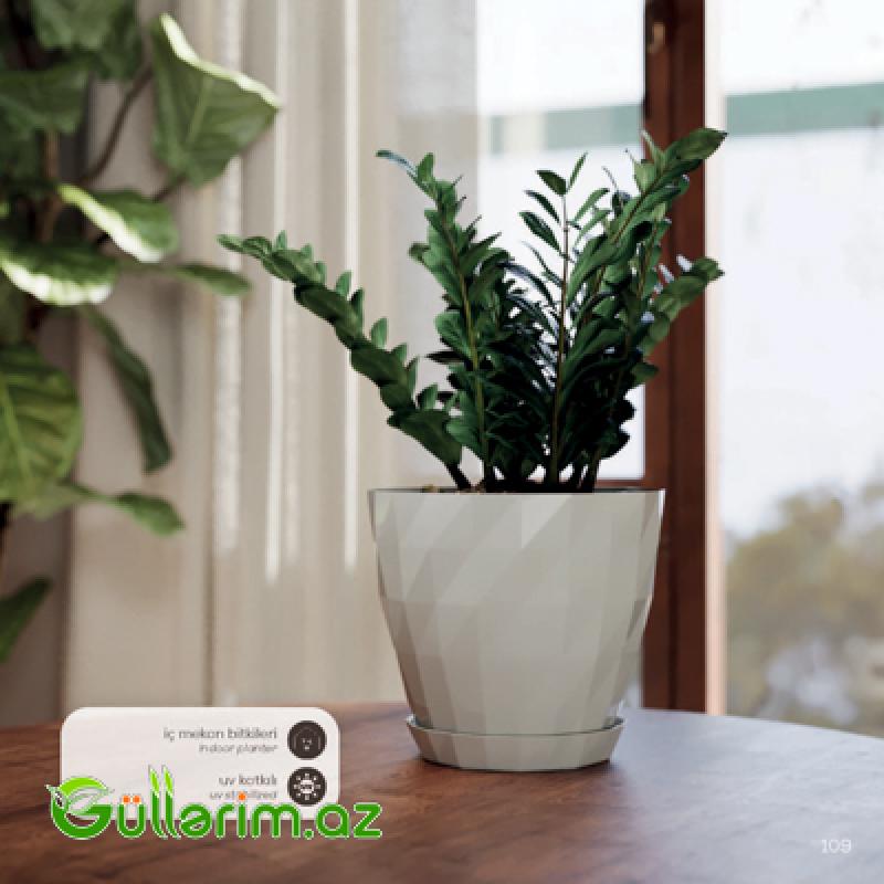 Plastik Dibçək 020