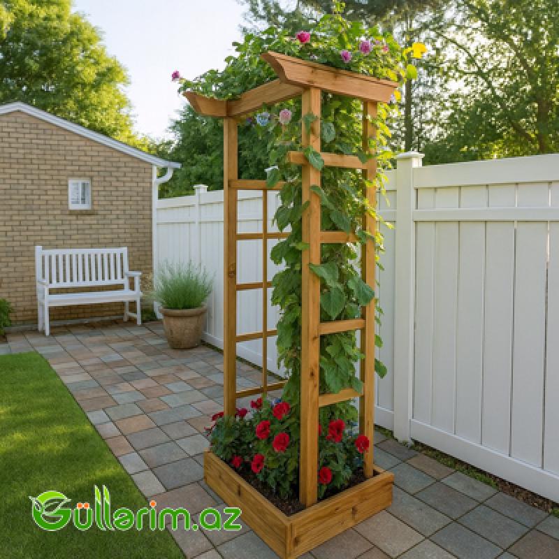 Taxta Sarmaşıq Dayaq və Dekorativ Dibçək (Əl işi)