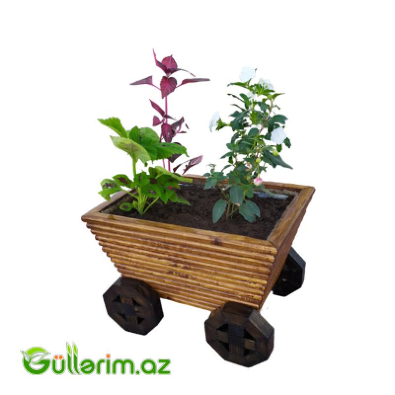 Taxta dibçək (Əl işi) № 09