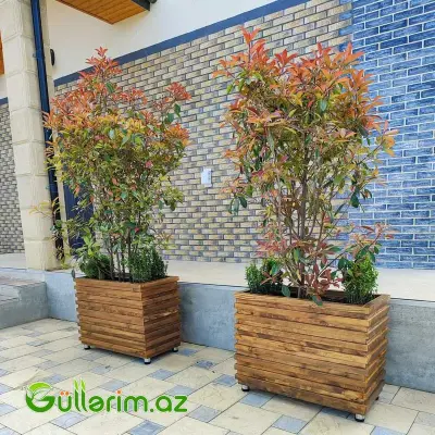 Taxta dibçək (Əl işi) № 03