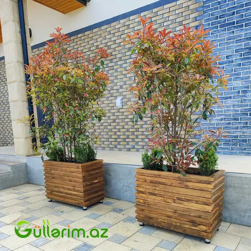 Taxta dibçək (Əl işi) № 03