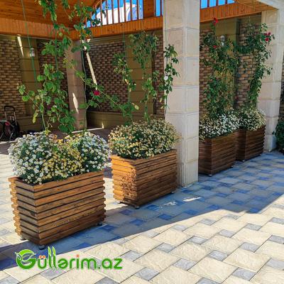 Taxta dibçək (Əl işi) № 018