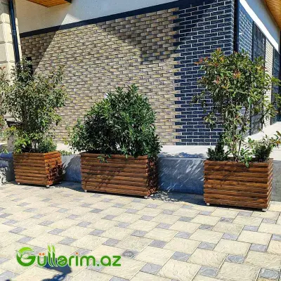 Taxta dibçək (Əl işi) № 05