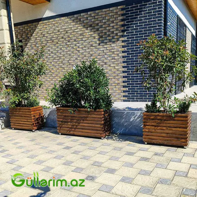 Taxta dibçək (Əl işi) № 05