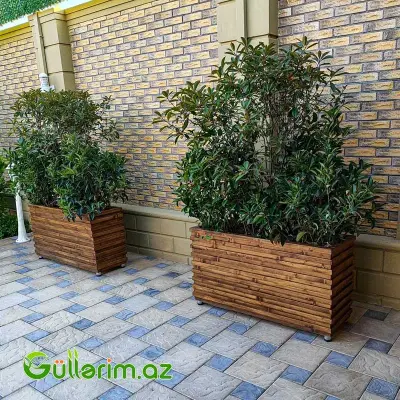 Taxta dibçək (Əl işi) № 010