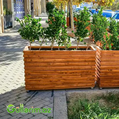 Taxta dibçək (Əl işi) № 021