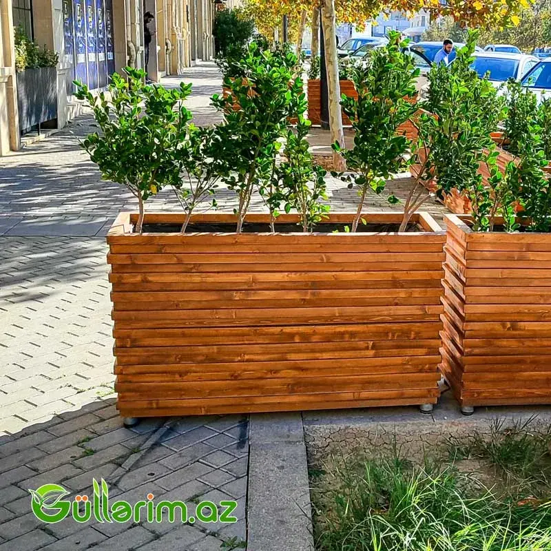 Taxta dibçək (Əl işi) № 016