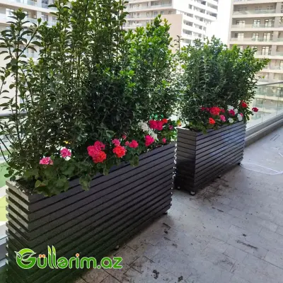 Taxta dibçək (Əl işi) № 05