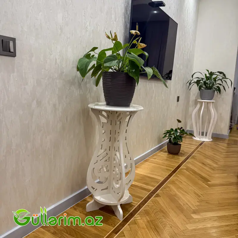 Dibçək altlıq ağ