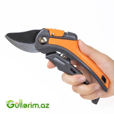 AFIXS Professional Tools (Bağ qayçısı)