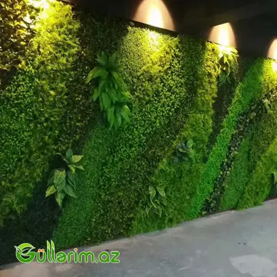 Dekorativ bitki paneli