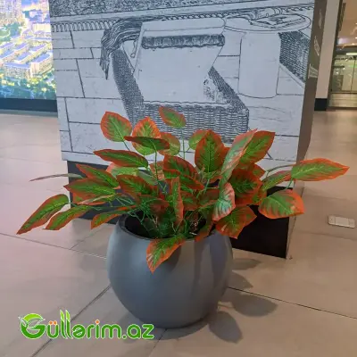 Süni Çinar yarpaqlı