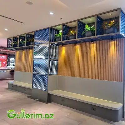 Süni Aqnolema bitki