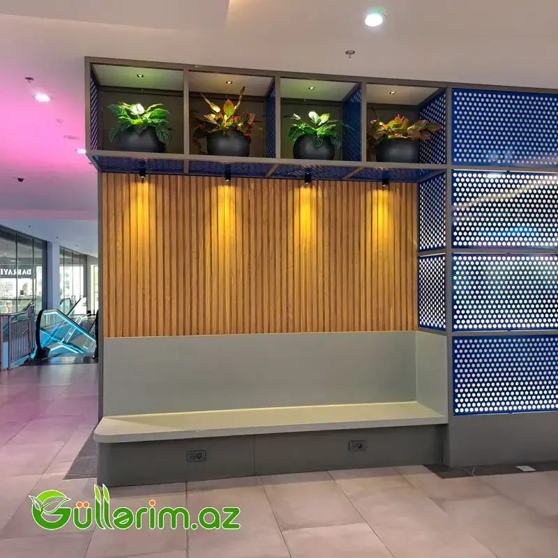 Süni Çinar yarpaqlı