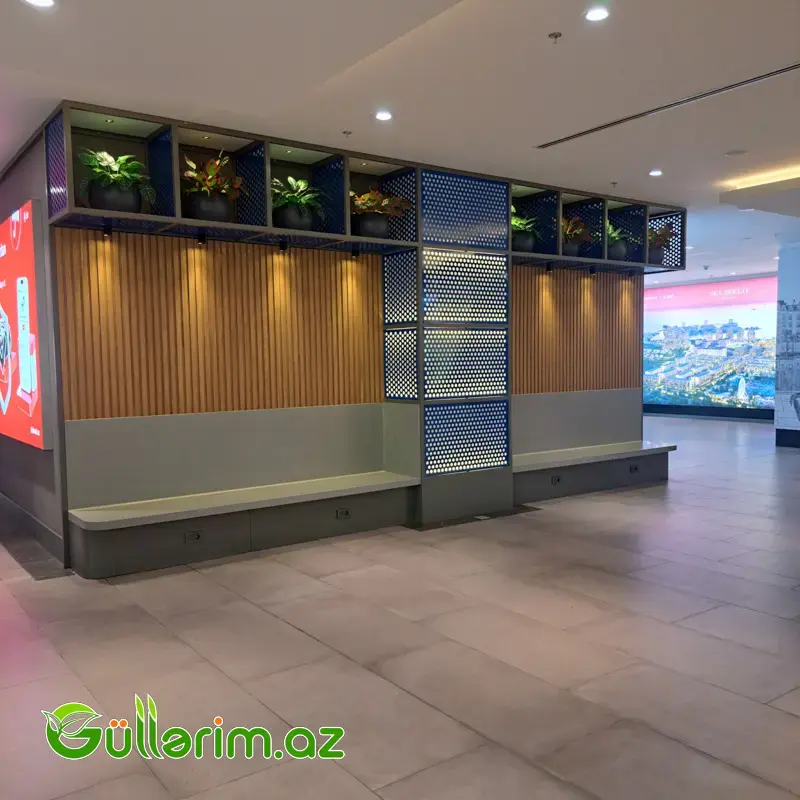 Süni Çinar yarpaqlı