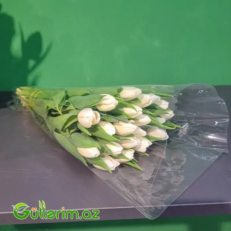 Gül Buketi (Zərif Ağ Lalələr)