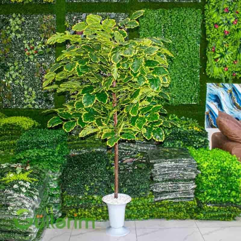 Süni Monstera Bitkisi