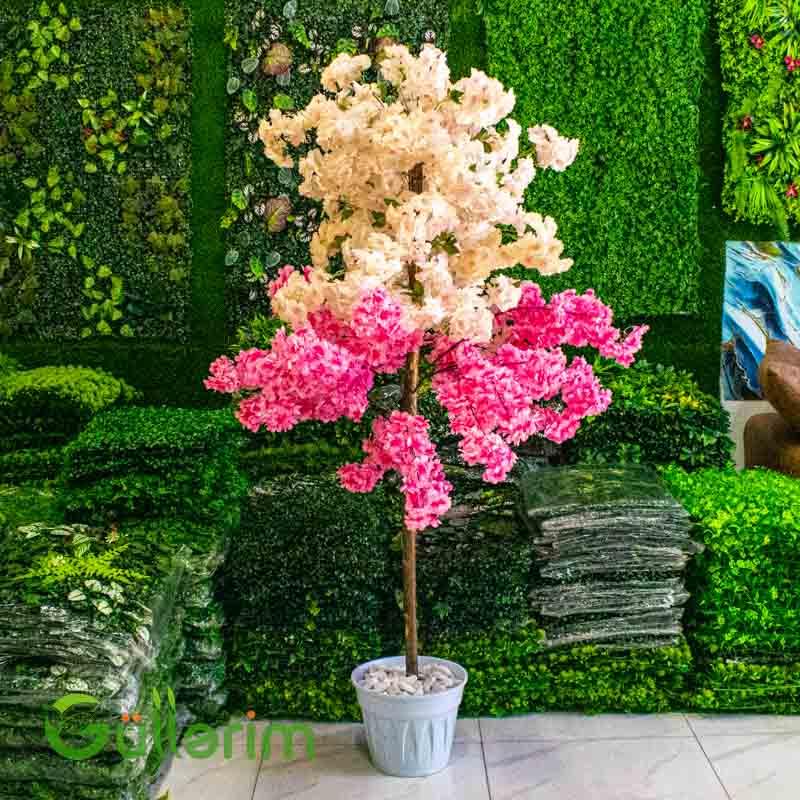 Süni Sakura Bitkisi