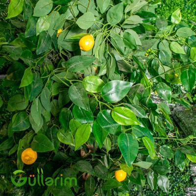 Süni Limon Ağacı