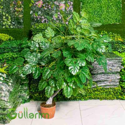 Süni Monstera Bitkisi