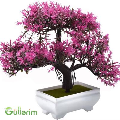 Süni Çəhrayı Bonsai Ağacı